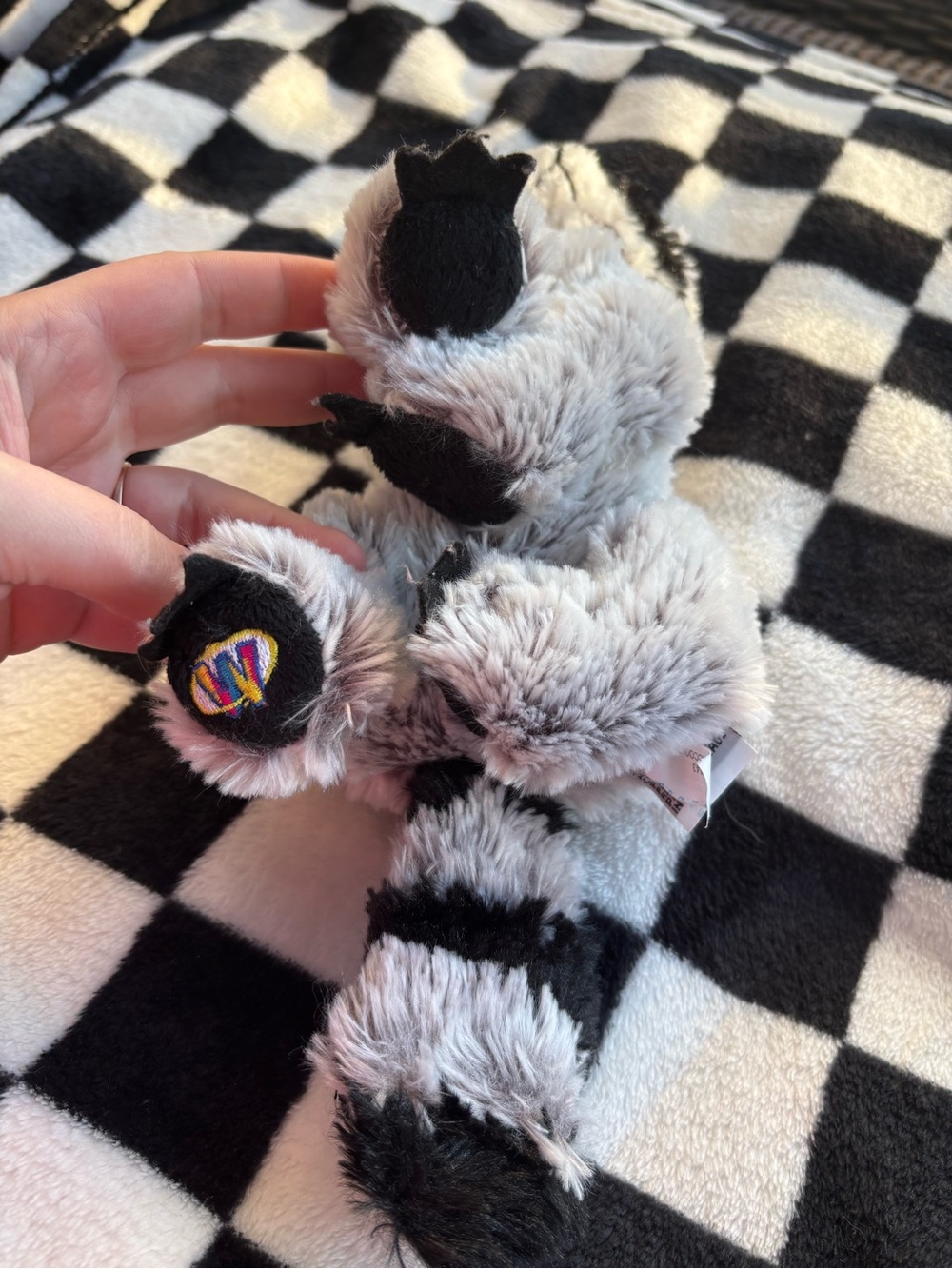 Webkinz Raccoon Plush (2007) - No Code - Picture 2 of 2